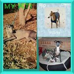 Profile Picture of Christy Michelle Strawder (@christystrawder) on Instagram