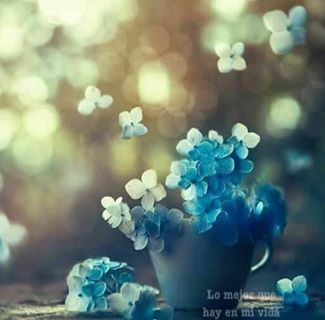 Profile Picture of Rayo Balderas (@rayo.balderas.3) on Facebook