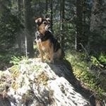 Profile Picture of Hans Eckert (@hajo.eckert) on Instagram