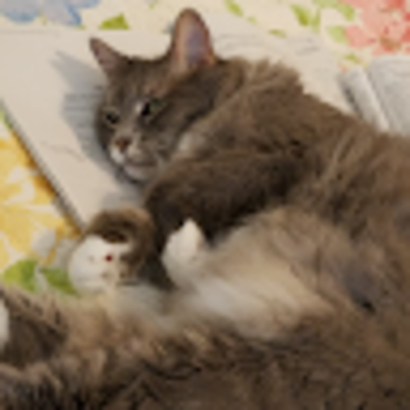 Profile Picture of Janiss m Fowler (@janmf) on Poshmark