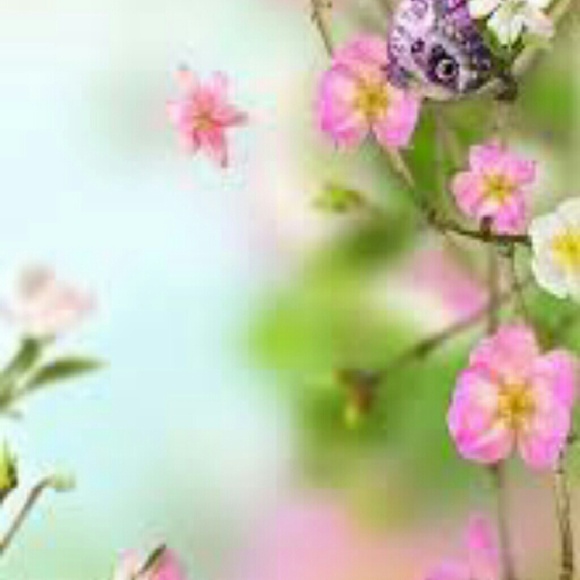 Profile Picture of Beth Kravetsky (@paperd0lls711) on Poshmark