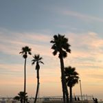 Profile Picture of Sherry. Kim (@satisfying_tw) on Instagram