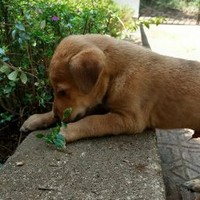 Profile Picture of Rene Pinto (@rene-pinto-1) on Quora