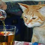 Profile Picture of Jose Arbizu (@josearbizurendon) on Instagram