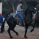 Profile Picture of javiercota (@javiercotamarquez) on Instagram