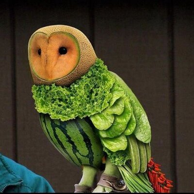 Profile Picture of Rhonda Case (@sunflowerjoco) on Twitter