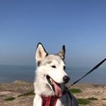 Profile Picture of Derek Mcmaster (@derekmcmaster03) on Instagram