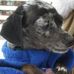 Profile Picture of Dexter Kyle (@dexter.kyle.54) on Facebook