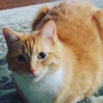 Profile Picture of Caleb Millard (@caleb.millard) on Instagram