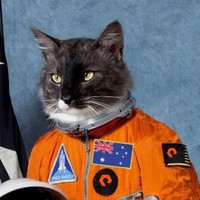 Profile Picture of Richard Spindler (@richard-spindler-7) on Quora