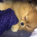 Profile Picture of David Pasquini (@davidpasquini353) on Instagram