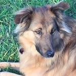 Profile Picture of Eva Nimz (@evanimzundfrank) on Instagram