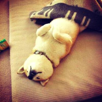 Profile Picture of Alberta King (@alberta_jin) on Twitter