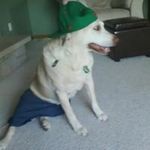 Profile Picture of Sherri Paulson (@sherripaulson66) on Instagram