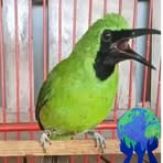 Profile Picture of Brayen Baara (@brayen.baara) on Facebook