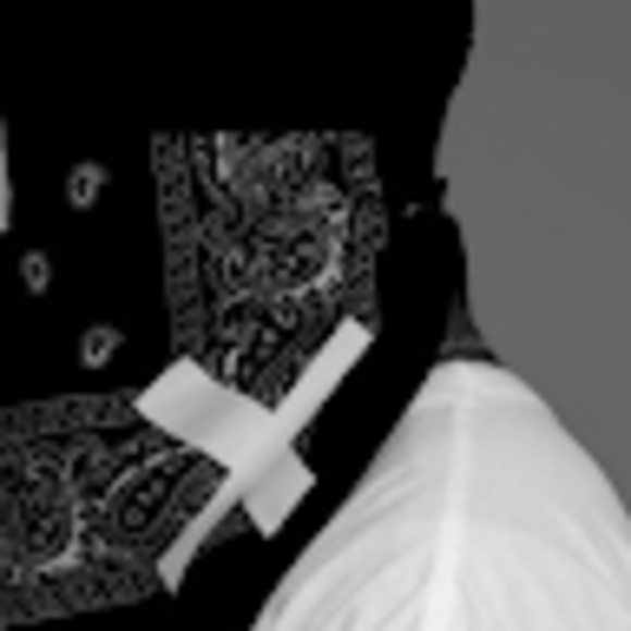 Profile Picture of Sky Lee (@skyjoelee) on Poshmark