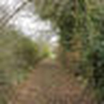 Profile Picture of bpm22 (@bpm22) on Flickr