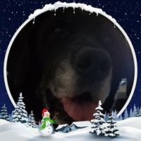 Profile Picture of Scott Belinc (@scott-belinc) on Quora