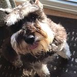 Profile Picture of Charles Huff (@thecharleshuff) on Instagram