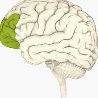 Profile Picture of Laura Schmidt (@laura-schmidt-160) on Quora