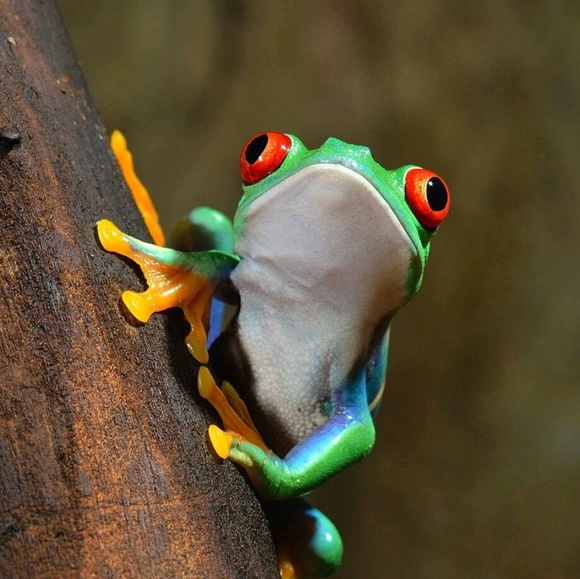 Profile Picture of Kasaya Hansberry (@kasaya031) on Poshmark