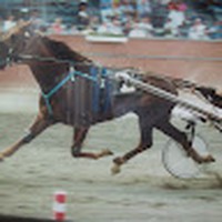 Profile Picture of Lisa Caposio (@lisa-caposio) on Quora