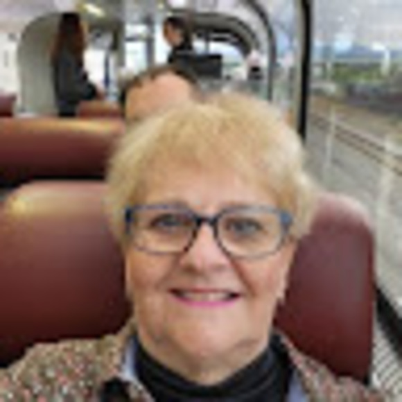 Profile Picture of Nancy Ellis (@njellis5713) on Poshmark