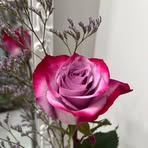 Profile Picture of Mary Ernest (@Mary-Ernest) on Facebook