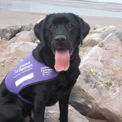 Profile Picture of Julie Barrett (@juliebarrett62) on Twitter