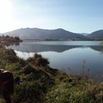 Profile Picture of David Picchioli (@davidpicchioli) on Instagram