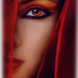 Profile Picture of Farida Patel (@fpatel974) on Twitter