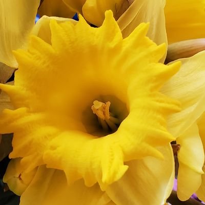 Profile Picture of Hamid Shahsahebi (@HamidShahsahebi) on Twitter