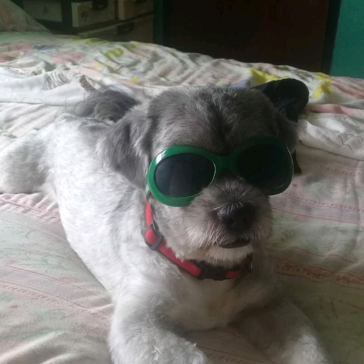 Profile Picture of Lisa de cuba (@lisadecuba) on Tiktok