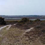 Profile Picture of George Sands (@reckit_ralph2019) on Instagram