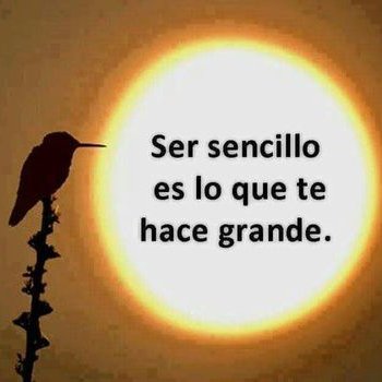 Profile Picture of Daniel Moctezuma (@Elmocrumos) on Twitter