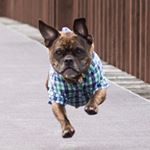 Stewart Mack - Instagram Profile Picture of Stewart Mack (@stewartmack_thefruggle) on Instagram