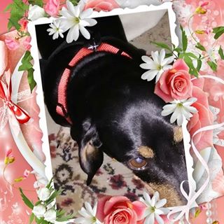Profile Picture of Roberta Oliver (@roberta.oliver.5437) on Facebook