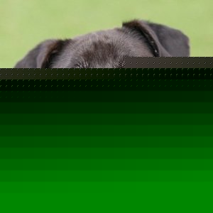 Profile Picture of Alicja Pawlak (@alicja.pawlak) on Myspace