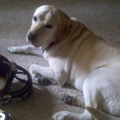 Profile Picture of Travis McCullough (@retro3404) on Twitter