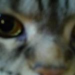 Profile Picture of Rene Engel (@rene.engel.739) on Instagram