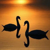 Profile Picture of Karin Larsen (@karin-larsen-4) on Quora