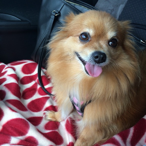 Profile Picture of Shizuko Kunishima (@shizukok) on Poshmark