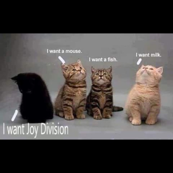 Lisa Rivitz - Poshmark Profile Picture of Lisa Rivitz (@lisar456) on Poshmark