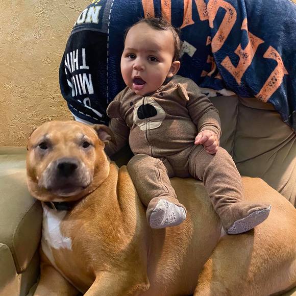 Linsey Haddeman - Poshmark Profile Picture of Linsey Haddeman (@linsey80) on Poshmark