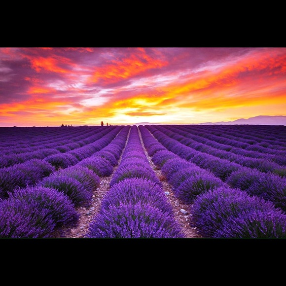 Profile Picture of Carleen Duncan (@cmdncn22) on Poshmark