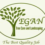 Profile Photo of Edward (@egan_tree_care) on Instagram