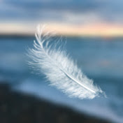 Profile Picture of White Feather - Photography & Film (@whitefeather-photographyfi1784) on Youtube