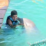 Profile Picture of Alfred Saadeh (@alfredsaadeh08) on Instagram