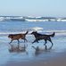 Profile Picture of Cecile Gauthier (@cecile.gauthier.92372) on Facebook