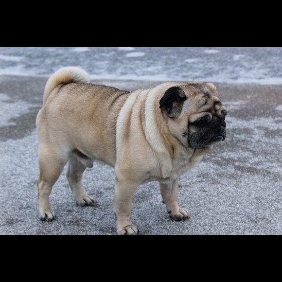 Profile Picture of Mary Simancas (@masggirl) on Poshmark